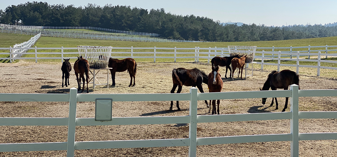 MOZAİK WINERY — 1