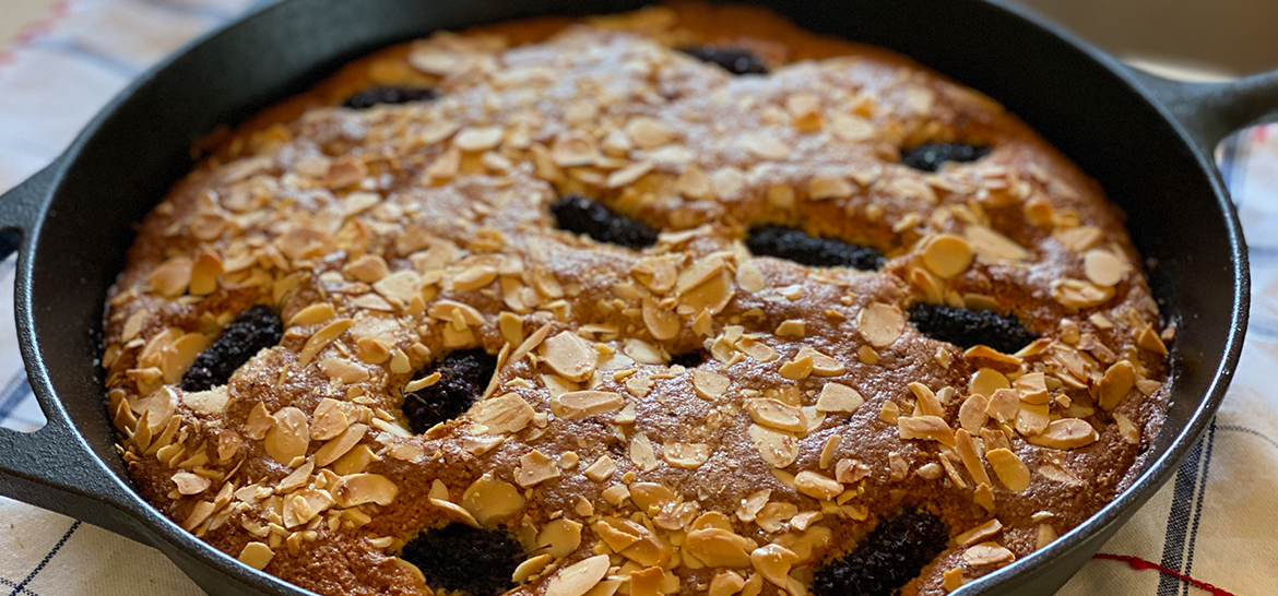 DUTLU&MISIR UNLU KEK — 1