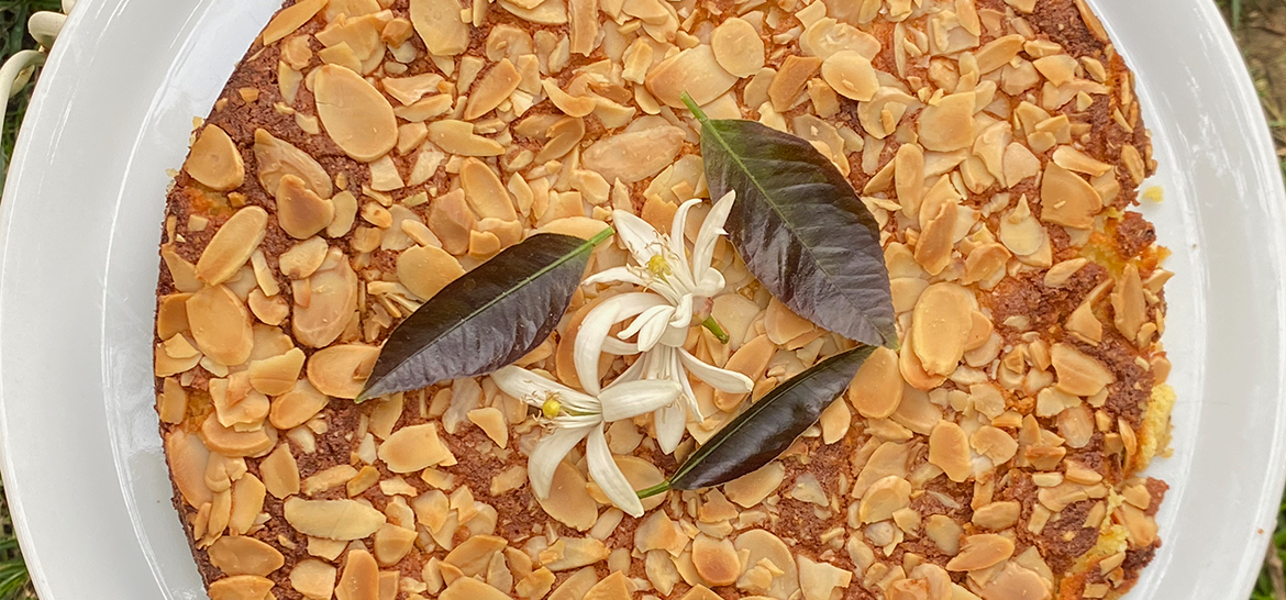 BADEMUNLU LORLU KEK — 1