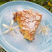 BADEMUNLU LORLU KEK — 3