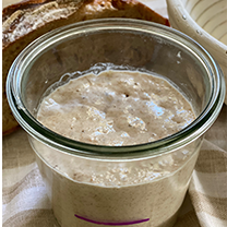 EKŞİ MAYA 1.BÖLÜM - STARTER