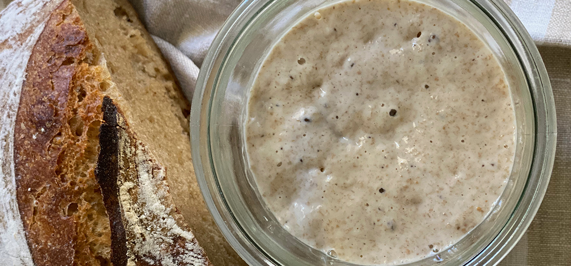 EKŞİ MAYA 3.BÖLÜM - BESLEME ve BAKIM — 1