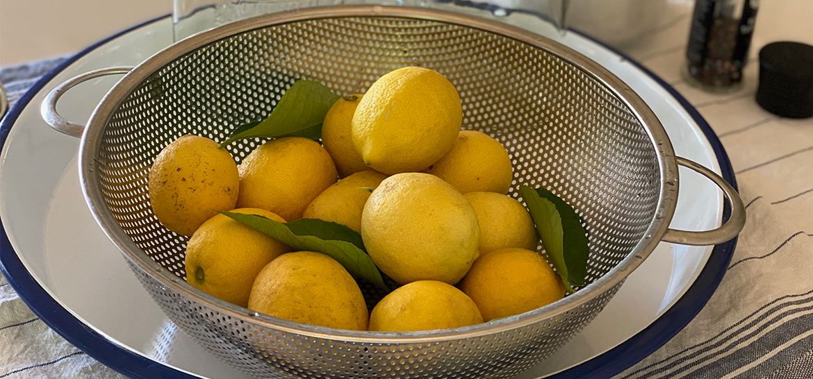 LİMON KONSERVESİ — 1