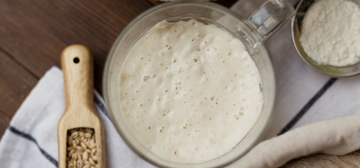 EKŞİ MAYALI MİNİ ATÖLYE — 2