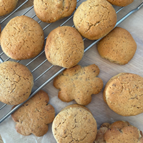 DOSTLUK KURABİYESİ — 4