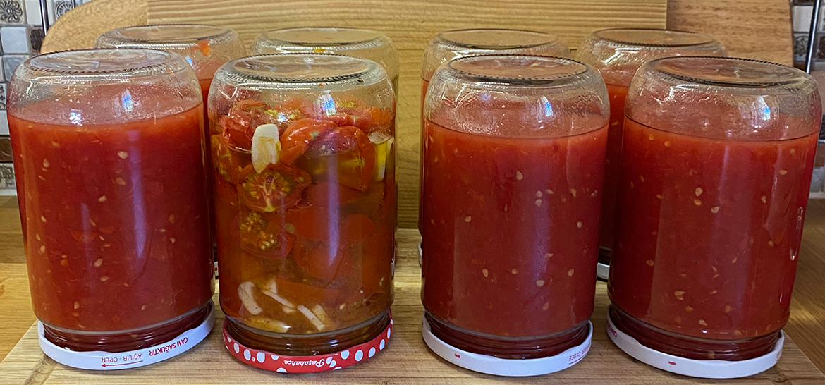 DOMATES KONSERVESİ — 1